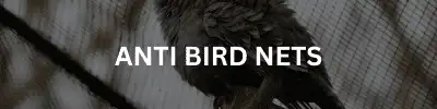 anti